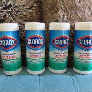 4 Pack Clorox Wipes